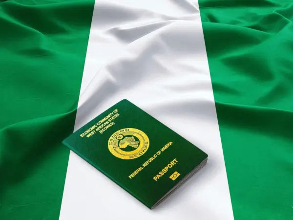 BVN and NIN for Nigerians in the Diaspora