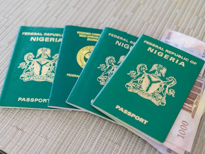 Latest NIS UK update detailing Nigerian passport renewal requirements and processing fees